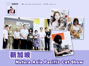 Cat's Life - Hong Kong Magazine Report