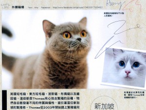 Cat’s Life – Hong Kong Magazine Interview