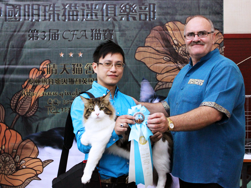 Beijing Cat Show