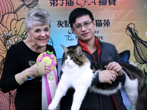 Beijing, China Cat Show