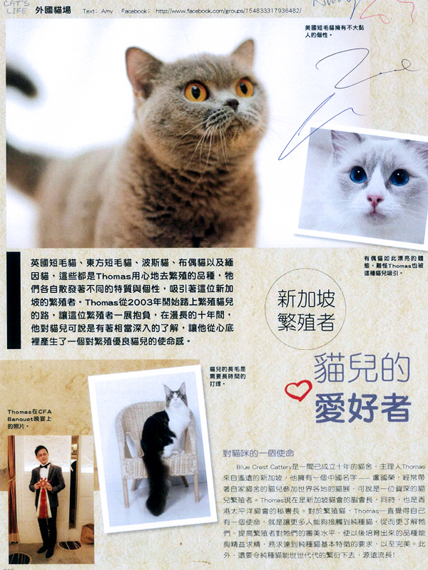 Cat’s Life – Hong Kong Magazine Interview