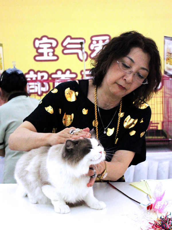 Chengdu Cat Show