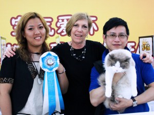 Chengdu, China Cat Show 2013