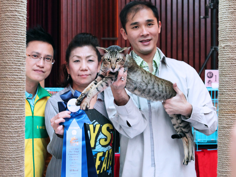 Hong Kong Cat Show