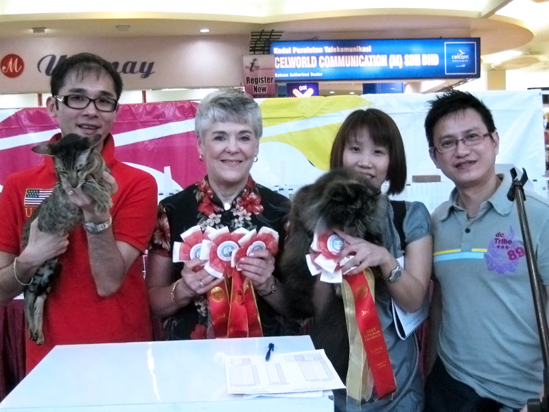Kulai, Malaysia Cat Show