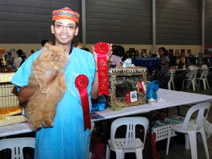 SCC Cat Show