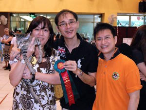 SCC Cat Show