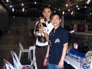 SCC Cat Show