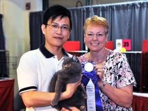 SCC Cat Show