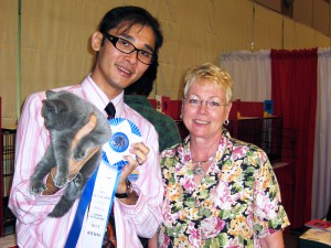 SCC Cat Show