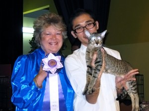 SCC Cat Show