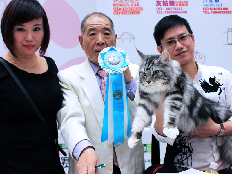 Shenyang Cat Show