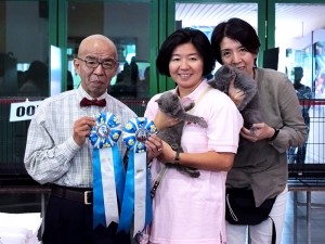 APCC Cat Show