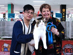 Beijing, China Cat Show