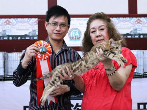 Beijing, China Cat Show