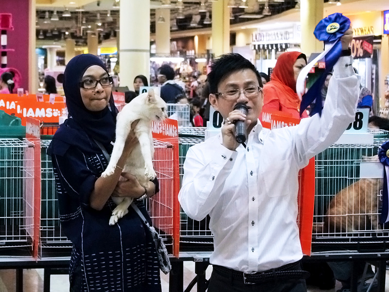 Cat Lovers’ Club, Malaysia Judging