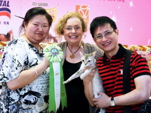 Chengdu, China Cat Show