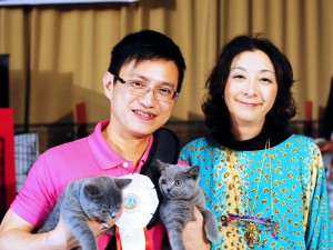 FFSS Cat Show