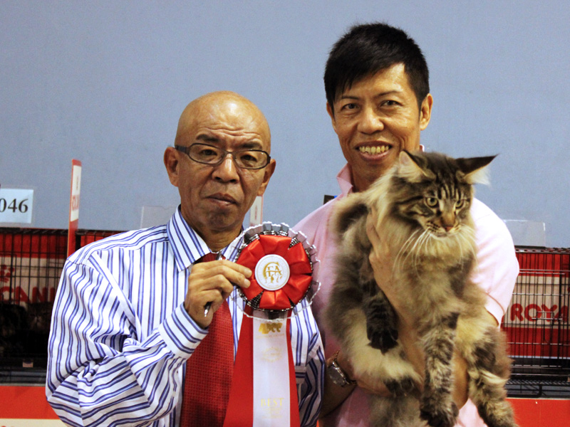 Kota Kinabalu, Malaysia Cat Show