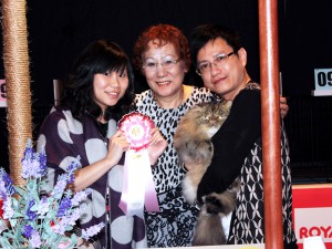 Kuala Lumpur, Malaysia Cat Show