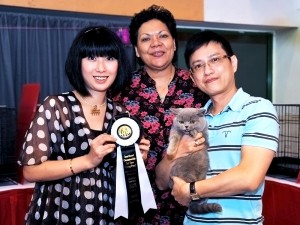 SCC Cat Show