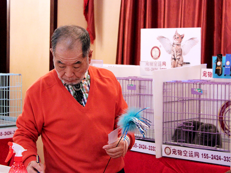 Shenyang, China Cat Show