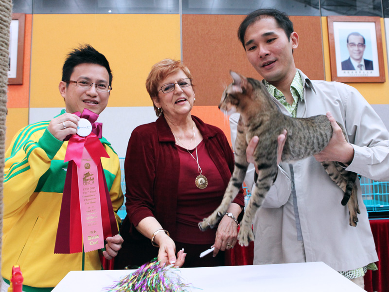 Hong Kong Cat Show