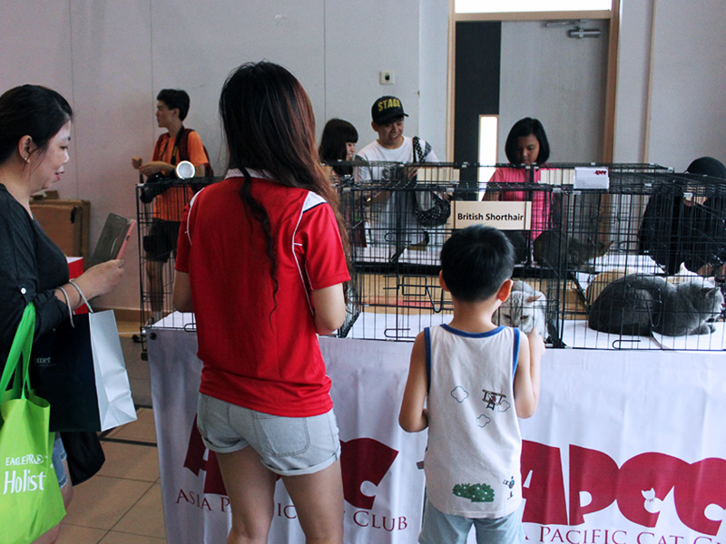 PA's (People's Association) Pets Idol Competition