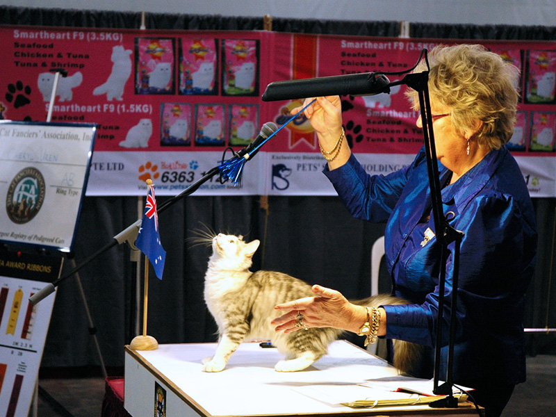SCC 35th Anniversary Championship Cat Show