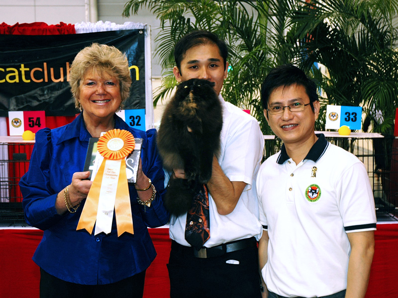 SCC 35th Anniversary Championship Cat Show