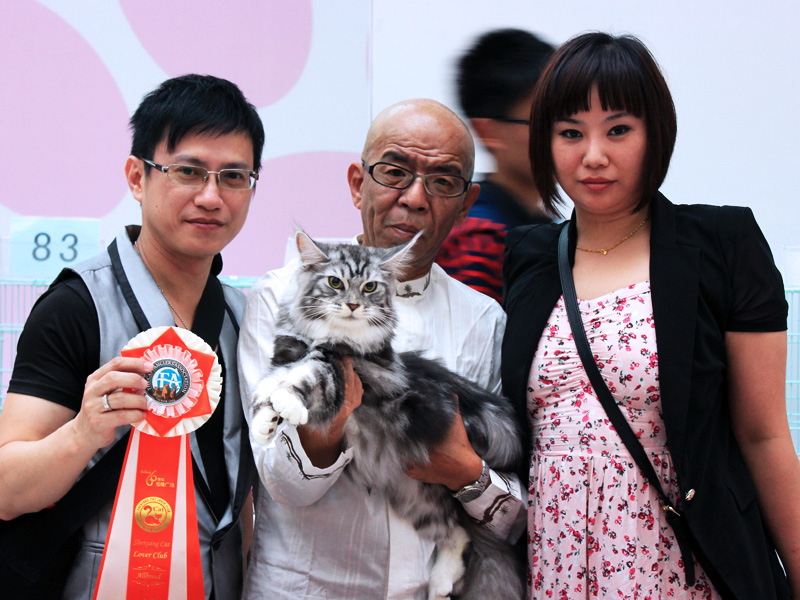 Shenyang Cat Show