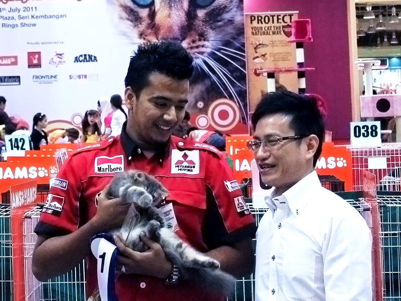Cat Lovers’ Club, Malaysia Judging