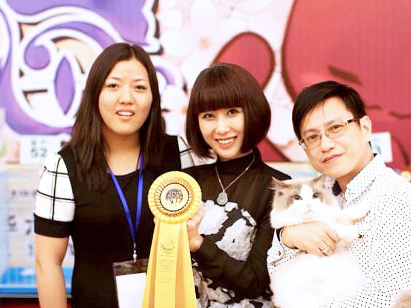 Guangdong Foshan, China Cat Show