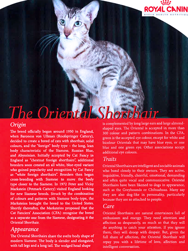 Pets Magazine Singapore (Issue 13)